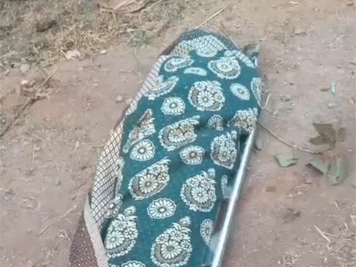 बस में सवार राजनांदगांव के तारकेश्वर साहू की मौके पर ही मौत हो गई।