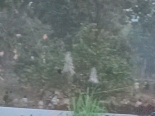 भीड़ को रोकने पुलिस ने किया लाठीचार्ज, कई ग्रामीण घायल।