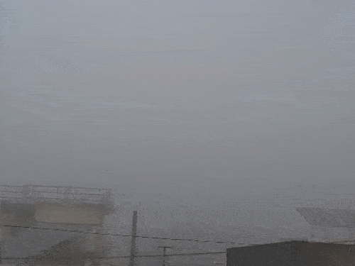 देहरादून के विकासनगर में गुरुवार सुबह घना कोहरा रहा।