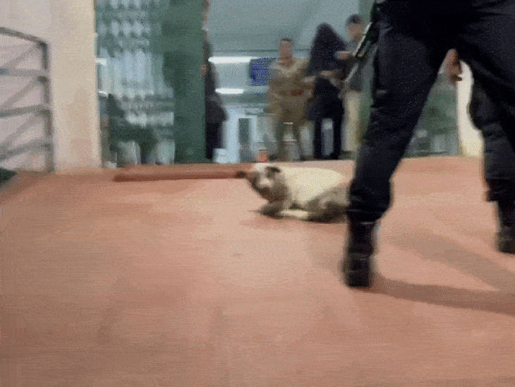 10 जून को सोनम समेत सभी आरोपियों को मेघालय पुलिस शिलॉन्ग लेकर पहुंची।