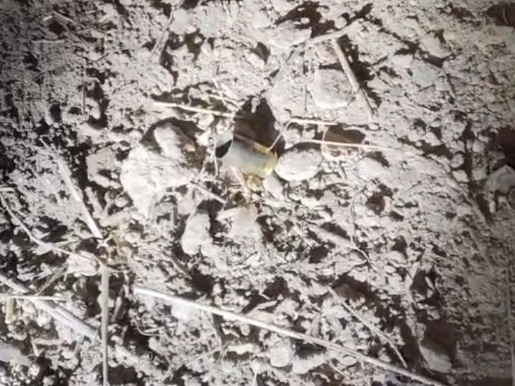 पेट्रोल पंप के पीछे से गोली का खोखा बरामद किया गया है।