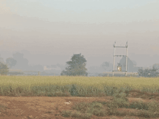 बुधवार को अलवर में हल्का कोहरा छाया रहा।