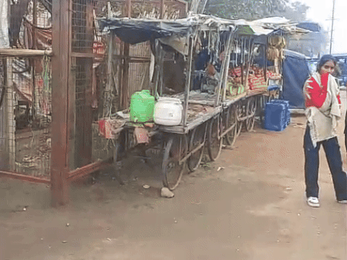 झज्जर में पुलिस ने हटवाई सड़क किनारे से रेहड़ियां:  हादसों से बचाव व जाम की स्थिति से निपटने के लिए कार्रवाई, चालान भी किए – Jhajjar News