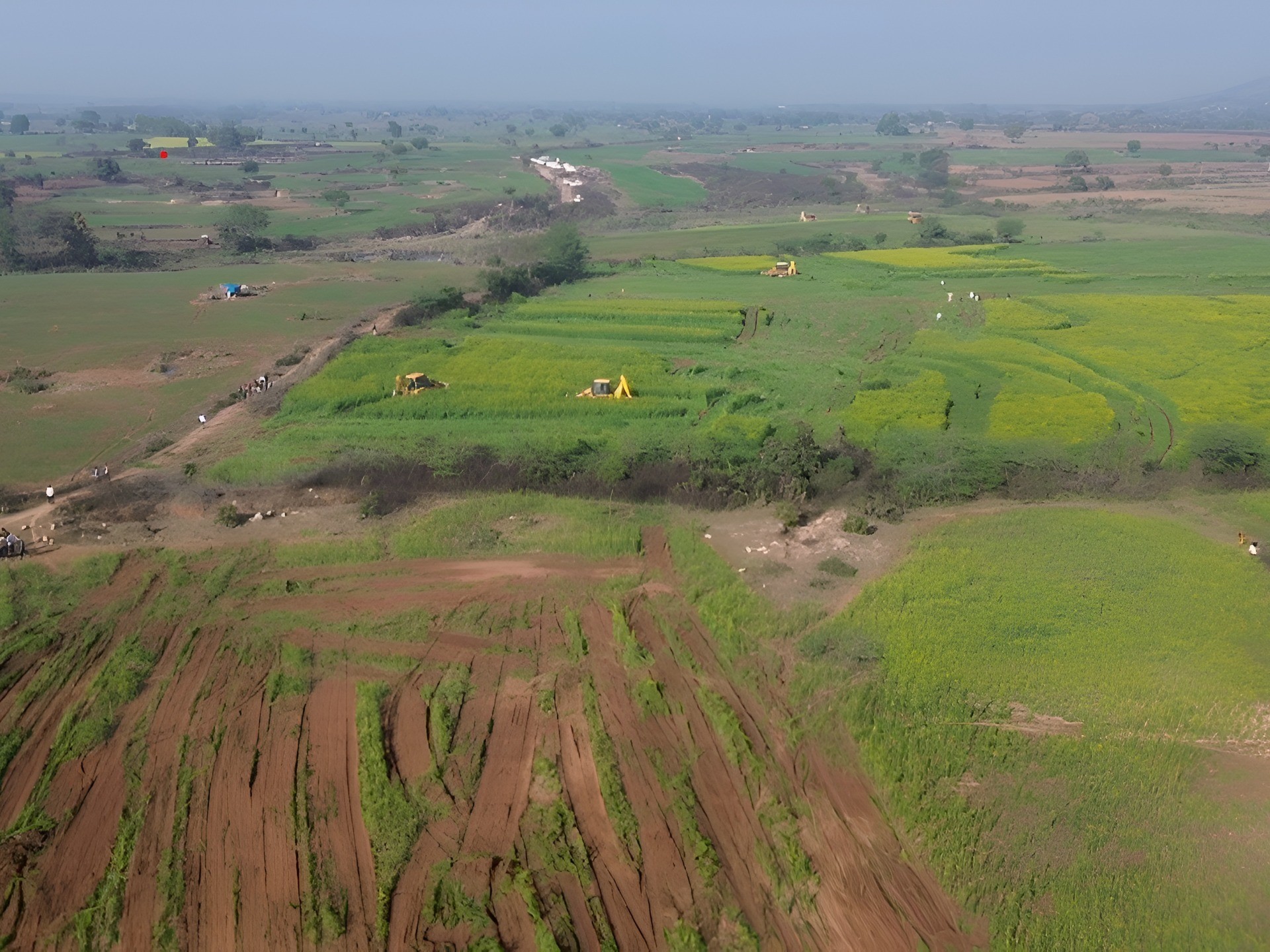 The forest department freed 300 bighas of land in Shivpuri. | शिवपुरी ...