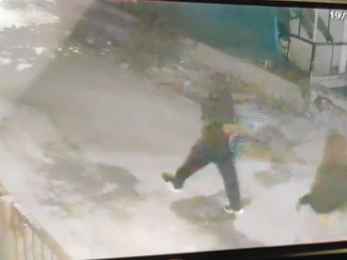 नकाबपोश तीनों बदमाश चोरी की वारदात को अंजाम देने के बाद जाते हुए दिखाई दे रहे हैं।