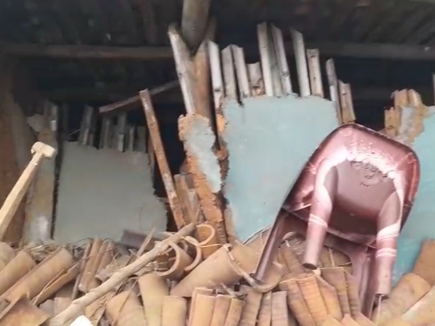 हाथियों ने एक घर को क्षतिग्रस्त कर दिया।