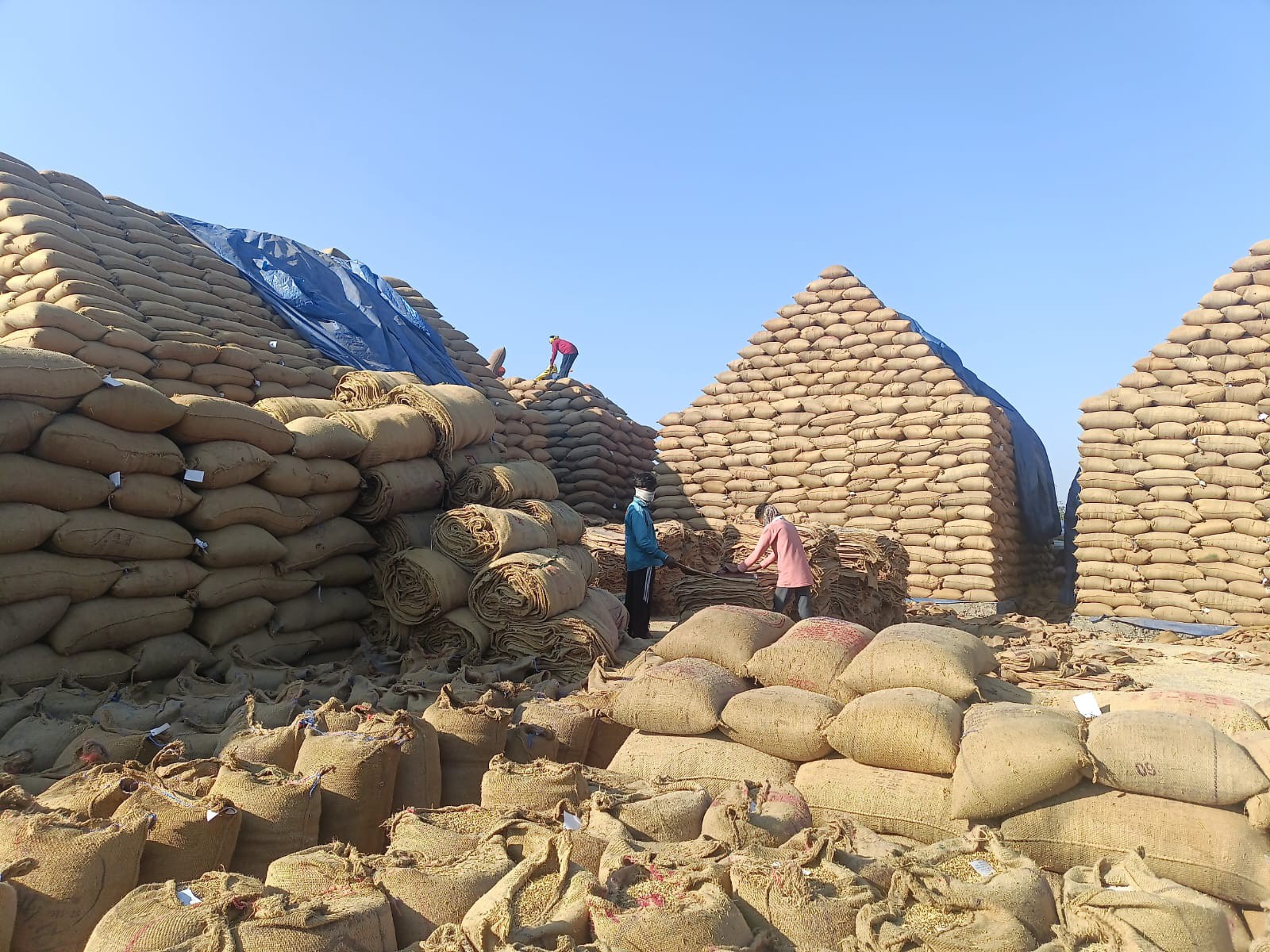 खरीदी केंद्रों पर जमा धान, परिवहन न होने से बढ़ी परेशानी।