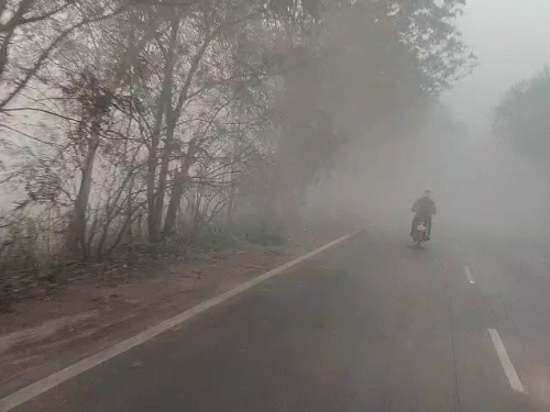 रायगढ़ के पुसौर ब्लॉक के सूरजगढ़ क्षेत्र में सुबह 8 बजे तक घना कोहरा छाया रहा।