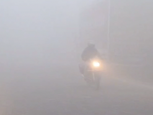 गोंडा में देर रात से ही घना कोहरा छाया हुआ है। सुबह हालात और खराब हो गए। विजिबिलिटी शून्य तक पहुंच गई। सड़कों पर कुछ भी दिखाई नहीं दे रहा था।