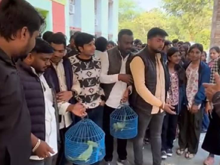 विश्वविद्यालय में ही विरोध स्वरूप एनएसयूआई ने उड़ा दिए तोते।