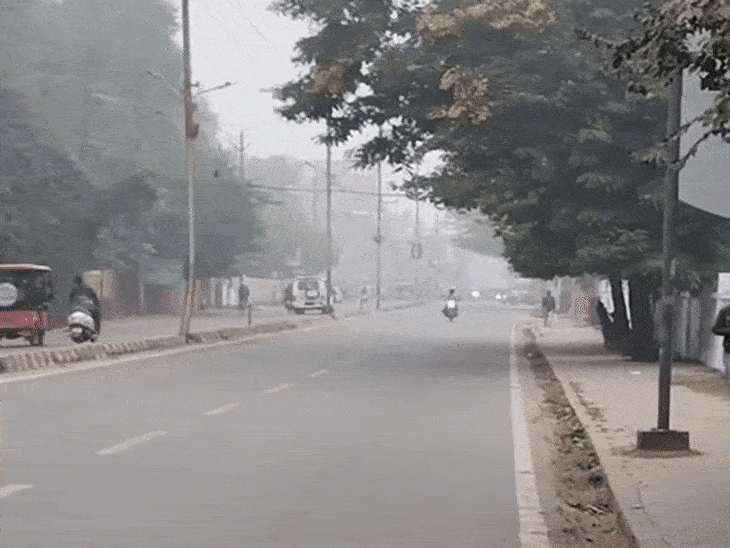 सड़क पर कोहरा और धुंध के चलते अस्त व्यस्त हुआ ट्रैफिक - Dainik Bhaskar