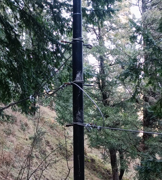 जिप लाइन के लिए देवदार के पेड़ में इस तरह तारों का बांधना वन विभाग की कार्यप्रणाली पर भी बड़ा सवाल है, क्योंकि देवदार के हरे भरे पेड़ पर इस तरह तारें तो दूर एक कील तक लगाने की इजाजत नहीं दी जा सकती।