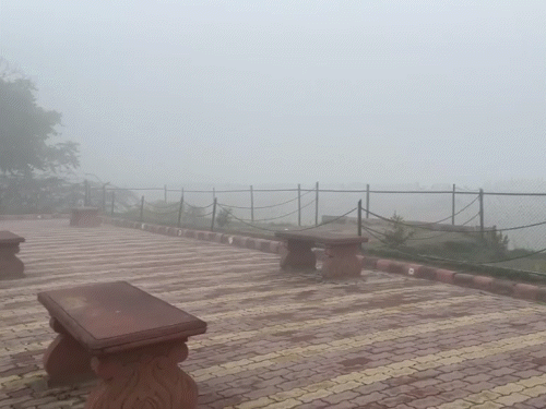 उत्तर प्रदेश के आगरा में शनिवार सुबह घने कोहरे के बीच ताज महल छिप गया।