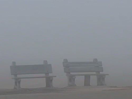 सरगुजा के कई इलाकों में सुबह तक घनी धुंध छाई रही।