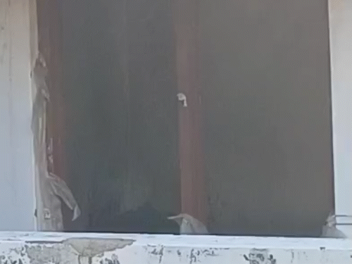 शव दफनाने को लेकर हुए विवाद के बाद भीड़ ने चर्च में आगजनी, तोड़फोड़ की थी।