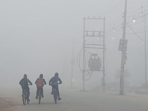 हरियाणा में अधिकतर जगहों पर शनिवार सुबह के समय कोहरा छाया रहा।