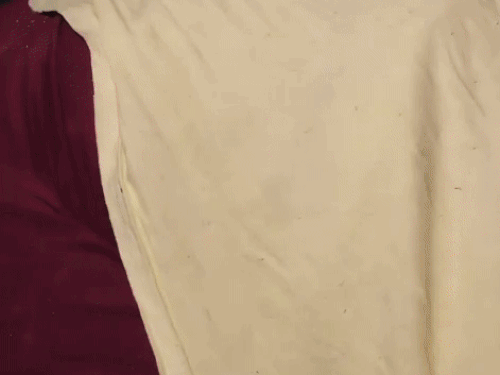 करनाल अस्पताल में पीड़ित को लेकर इलाज के लिए लेकर पहुंची पुलिस।