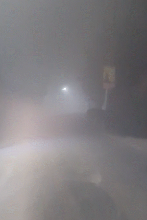 आगरा में घने कोहरे के बीच ओस की बूंदें रिमझिम जैसी महसूस हुईं। इस वजह से गलन बढ़ गई।