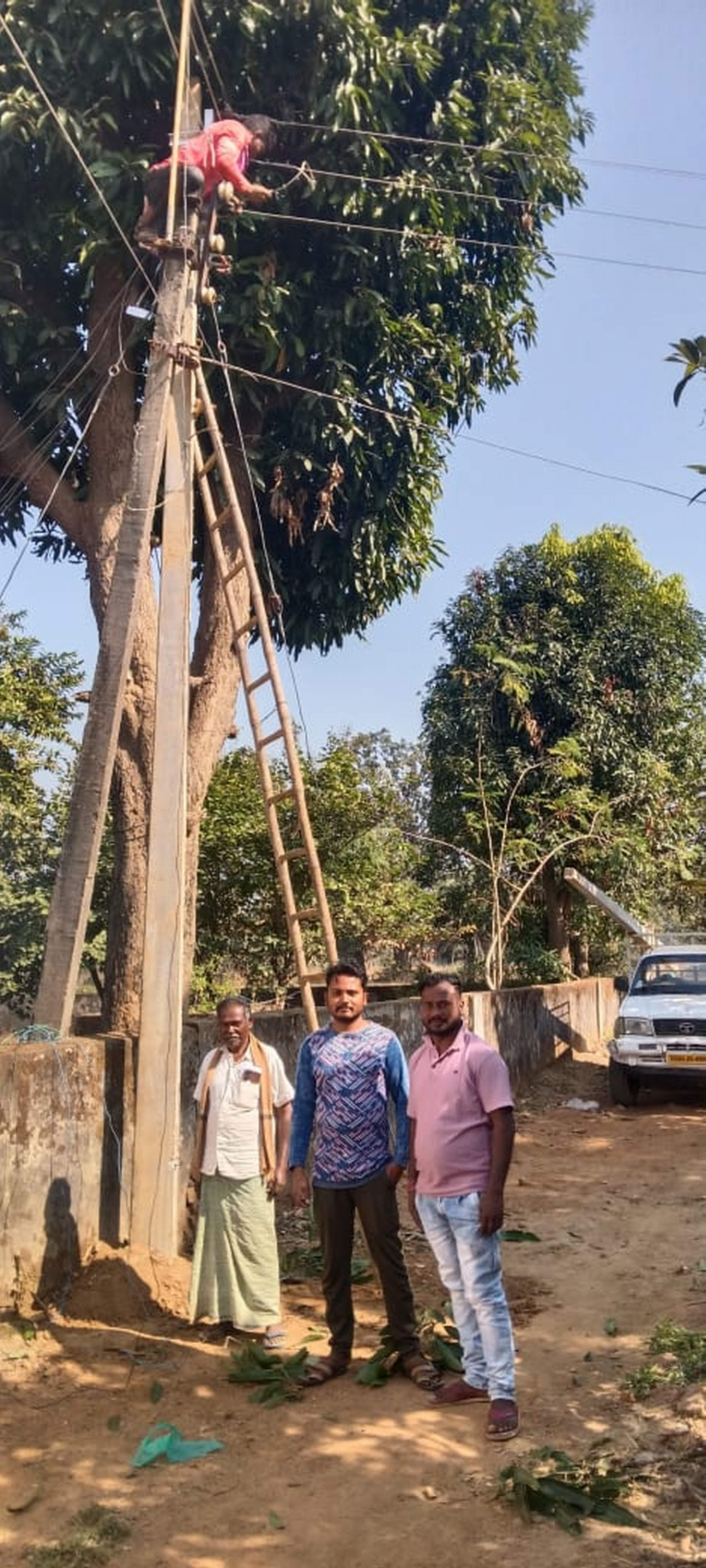 Electricity returned after 15 days of replacing dilapidated poles in Goa