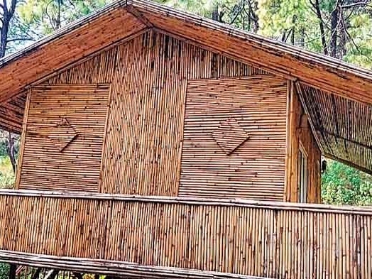 बैंबू ट्री प्रोजेक्ट के तहत किया गया निर्माण