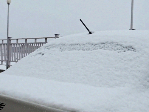 जम्मू-कश्मीर के सोनमर्ग में बर्फबारी का दौर शुरू हो गया है। रविवार को पूरा इलाका व्हाइट वंडरलैंड में तब्दील नजर आया।