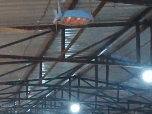 जालौन में गोशालाओं में हीटर लगाए गए हैं। अलाव के इंतजाम भी किए गए हैं।