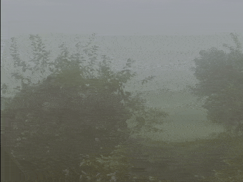 देहरादून के निचले इलाकों में रविवार सुबह घना कोहरा दिखा।