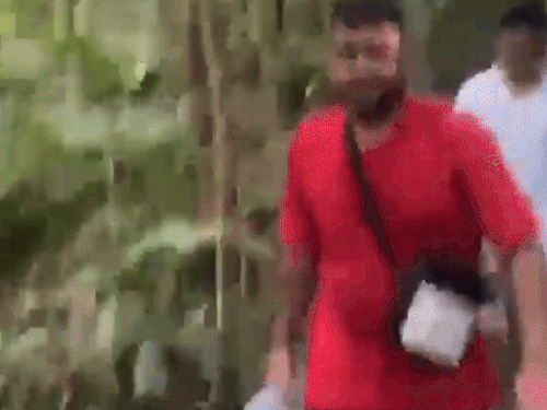 पनामा के जंगल को पैदल ही पार करवाया।