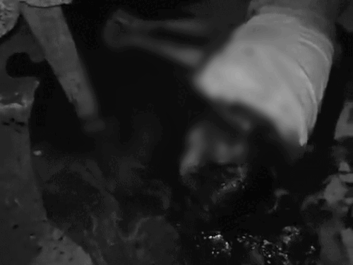 नाबालिग बेटी की बेरहमी से गला काटकर हत्या:  गर्दन धड़ से कटकर आधे से ज्यादा अलग हुई; आरोपी पिता फरार – rajsamand (kankroli) News