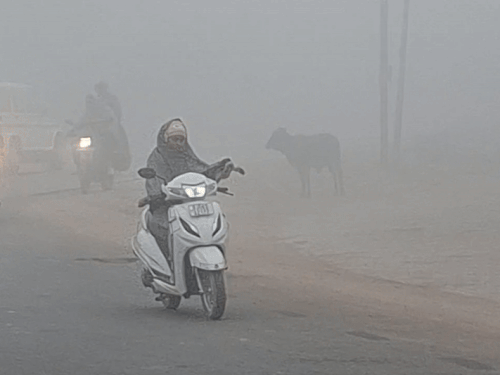 कोहरे के कारण वाहनों की स्पीड भी धीमी हो गई।