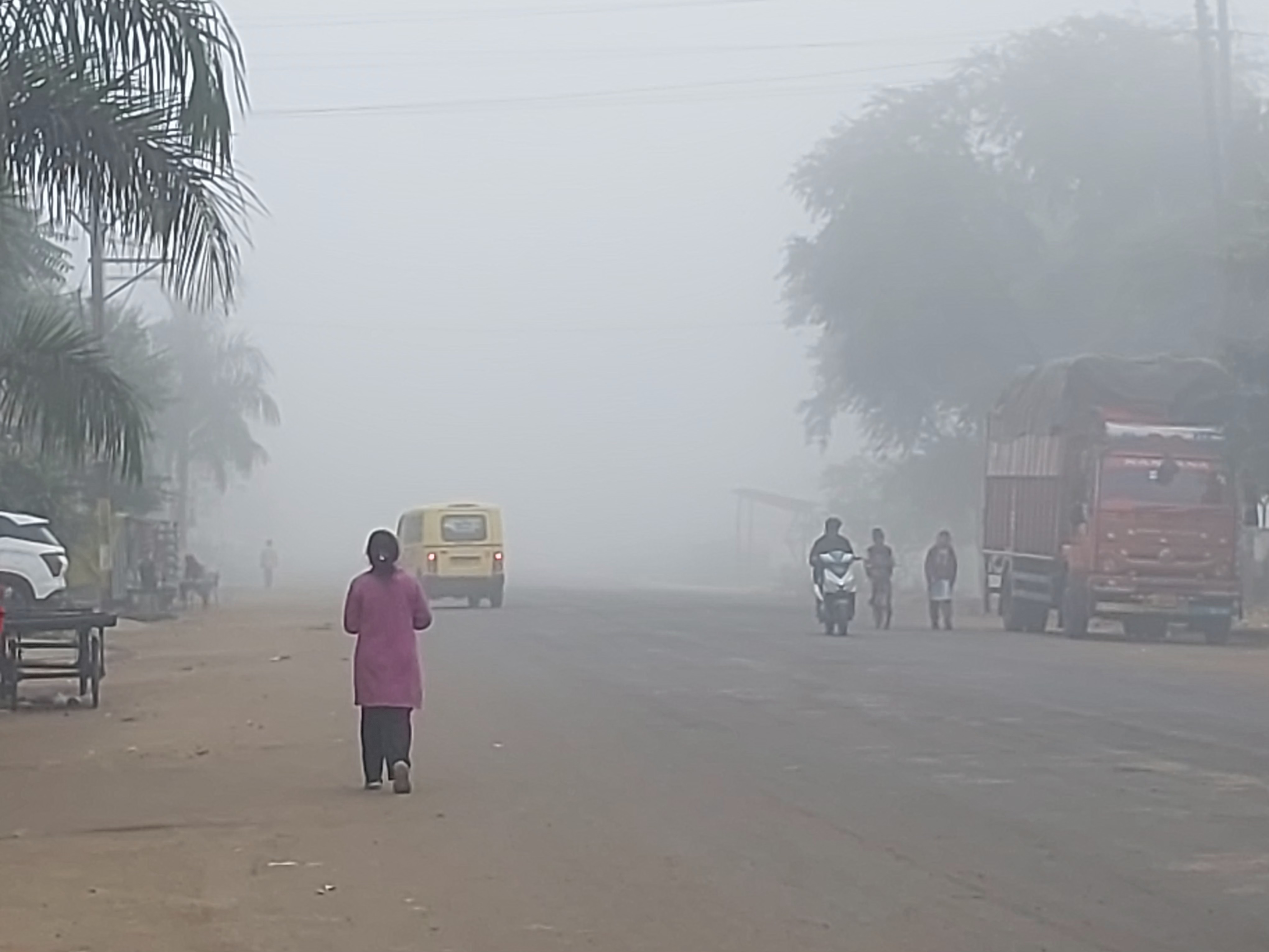 कोहरे की चादर में लिपटा राजस्थान, कड़ाके की ठंड का अलर्ट जारी किया कोहरे की चादर में लिपटा राजस्थान, कड़ाके की ठंड का अलर्ट जारी किया