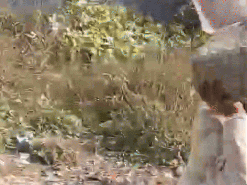 बाइक पर पत्थर मारते हुए हमलावर।