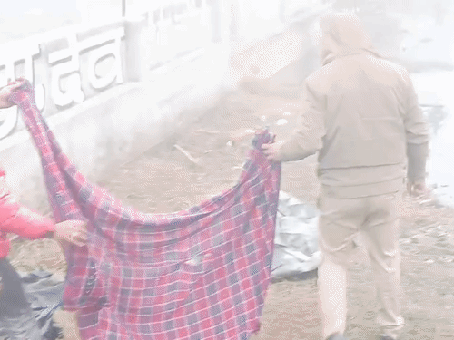 पुलिस को 15 दिसंबर को पतरौला नाले के पास राहुल का क्षत-विक्षत शव मिला था। 2 दिन बाद हाथ पर गुदे 'राहुल' नाम से शव की शिनाख्त हुई।