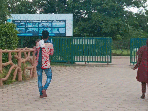 मुकुंदपुर व्हाइट टाइगर सफारी पहुंचने वाले पर्यटक वन्यजीवों के साथ सेल्फी भी लेते हैं।