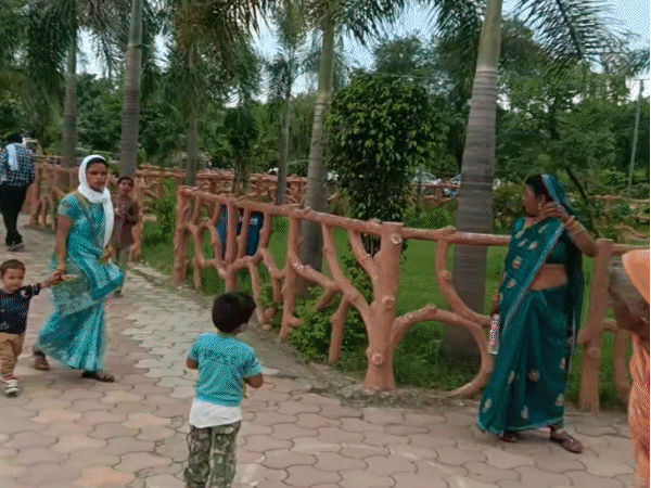 साल के समाप्त होने के पहले ही सफारी में पर्यटकों की संख्या लगातार बढ़ती जा रही है।