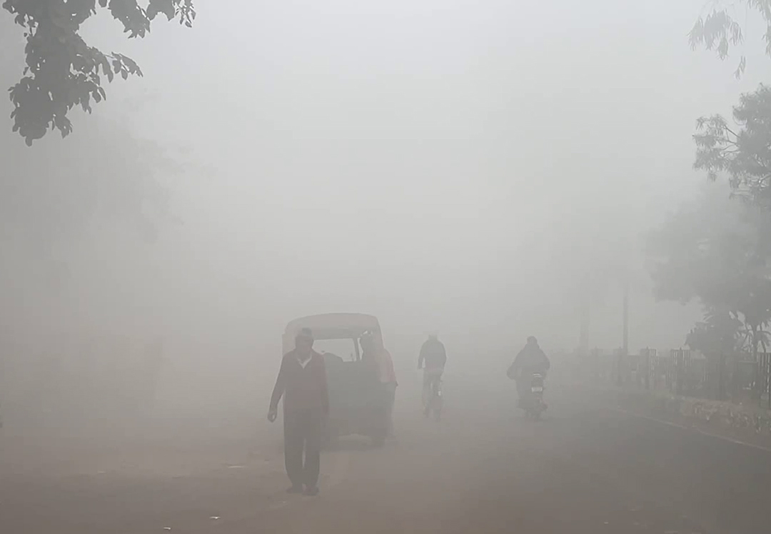 हरियाणा के भिवानी में सुबह के वक्त घना कोहरा छाया। विजिबिलिटी 10 मीटर के करीब रही।