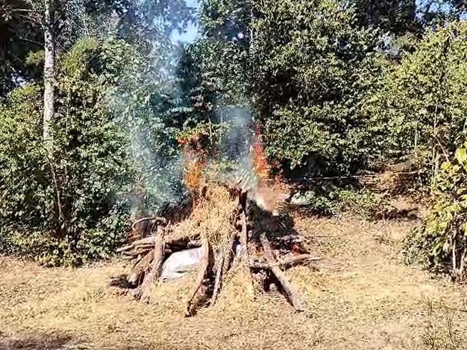 नियमानुसार कार्यवाही करते हुए मृत तेंदुए का अंतिम संस्कार कर दिया गया है।