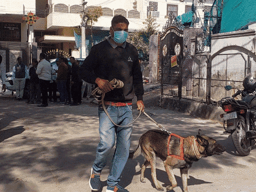 घर में पड़ी लाश को सूंघकर डॉग जीतू के घर के बाहर जा पहुंचा। घर के अंदर पहुंचने पर जीतू सहम गया। शक होने पर पुलिस ने उसको राउंडअप किया।