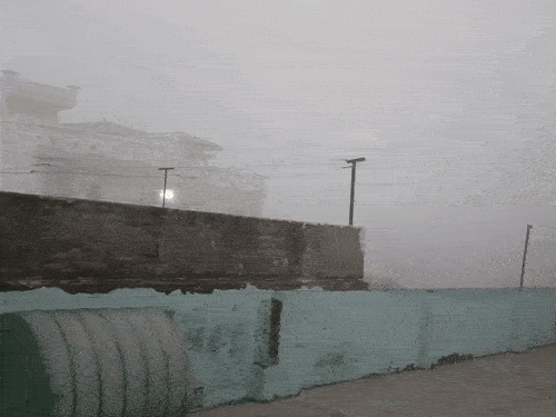 ऊधम सिंह नगर में मंगलवार सुबह घना कोहरा छाया रहा।