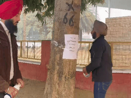 पीएयू में पेड़ों पर पोस्टर लगाकर विरोध जताते हुए स्टूडेंट।