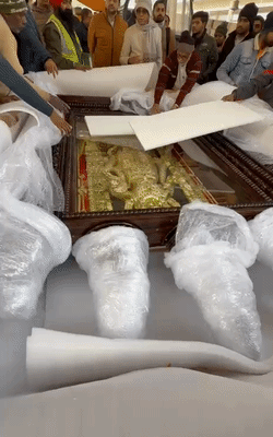 प्रतिमा रत्न और स्वर्ण जड़ित है। धातु का पता लगाने के लिए एक्सपर्ट बुलाए जाएंगे।