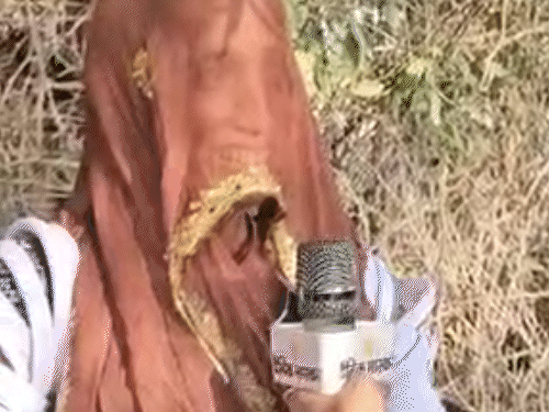 गांव की झमका देवी ने मोबाइल पर पाबंदी के फैसले को गलत बताया।