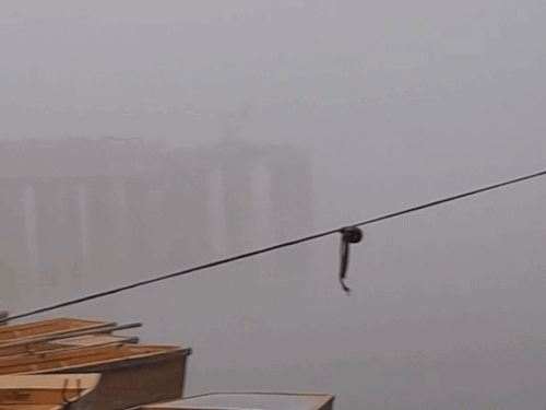 मंगलवार सुबह जैसलमेर की गड़ीसर लेक कोहरे में छुपी नजर आई।
