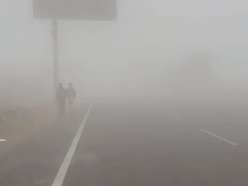 लुधियाना में आज भी काफी धुंध छाई है। इसके चलते पीएयू एरिया में विजिबिलिटी काफी कम है।