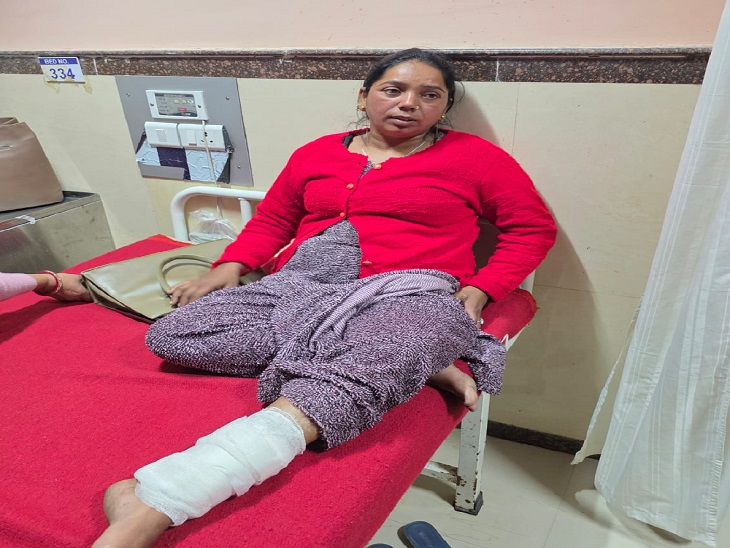 हिमाचल में तेंदुए के हमले से एक व्यक्ति की मौत:  पांच घायल, सुबह तड़के तीन गांवों में किया अटैक, ग्रामीणों ने मार गिराया – Mandi (Himachal Pradesh) News