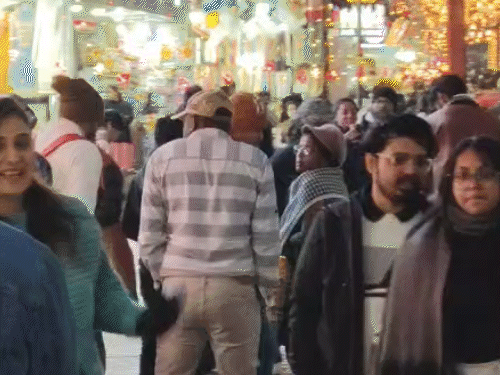 शिमला में पंजाब, हरियाणा और चंडीगढ़ के टूरिस्टों की संख्या ज्यादा है।