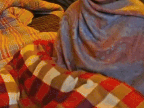 फाजिल्का में डकैती-दंपती को बंधक बना लूटा:  ढाई घंटे बदमाशों ने हथियार के बल पर मचाया आतंक , 3 लाख का सामान चोरी – Fazilka News