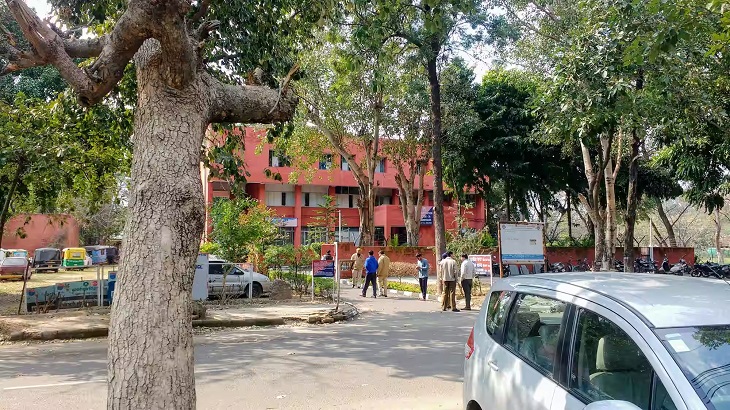 अमृतसर की महिला से चंडीगढ़ में स्नैचिंग:  सोने की चूड़ियां छीनी, हाथ से खून निकला, फिर भी पीछा किया, पुलिस ने एक दबोची – Chandigarh News