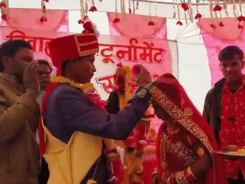 विवाह क्रिकेट टूर्नामेंट में खेल के साथ आयोजक कर रहे समाजसेवा। - फाइल फोटो।