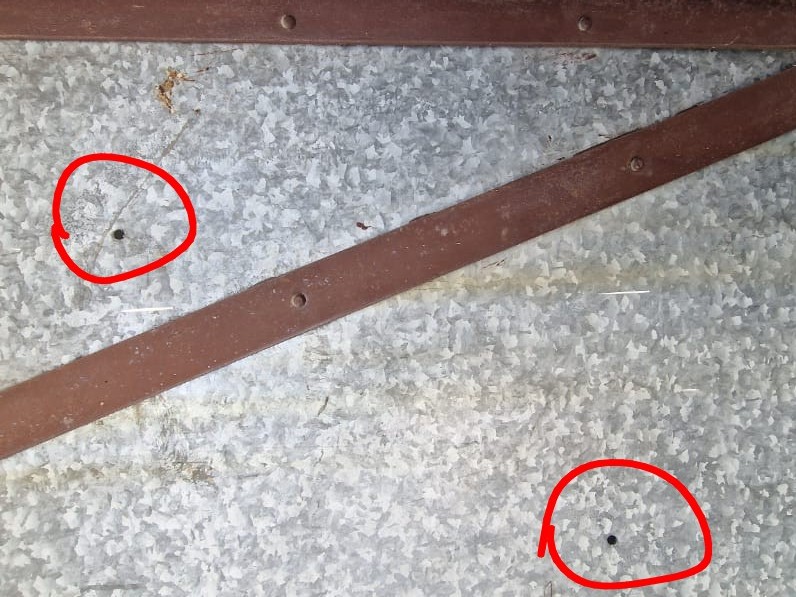 कपूरथला में व्यापारी के गोदाम पर फायरिंग:  फिर विदेशी नंबर से व्हाट्सएप पर लाखों की फिरौती मांगी, पांच राउंड चलाई गोली – Kapurthala News